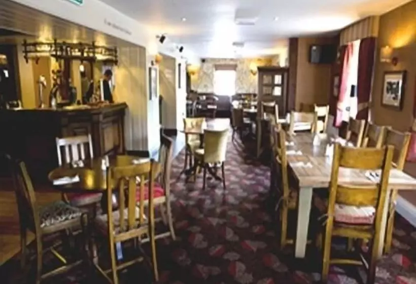 مبيت وإفطار Black Lion