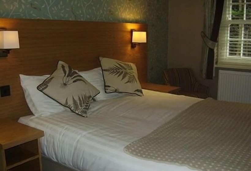 مبيت وإفطار Black Lion