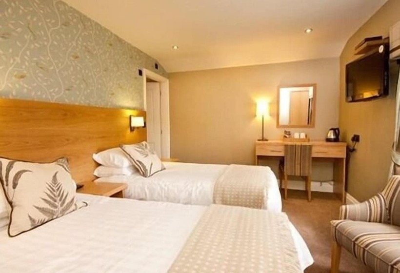 مبيت وإفطار Black Lion