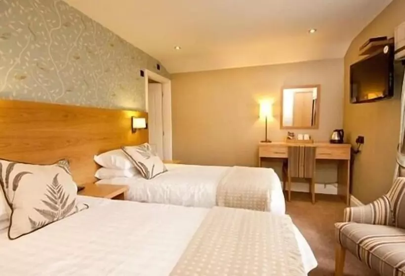 مبيت وإفطار Black Lion