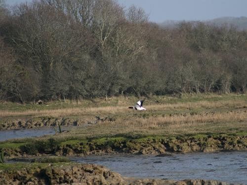 Bed and Breakfast Little Idyll