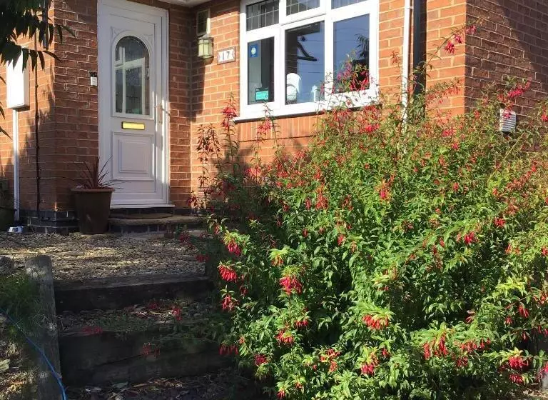 Bed and Breakfast Little Lodge