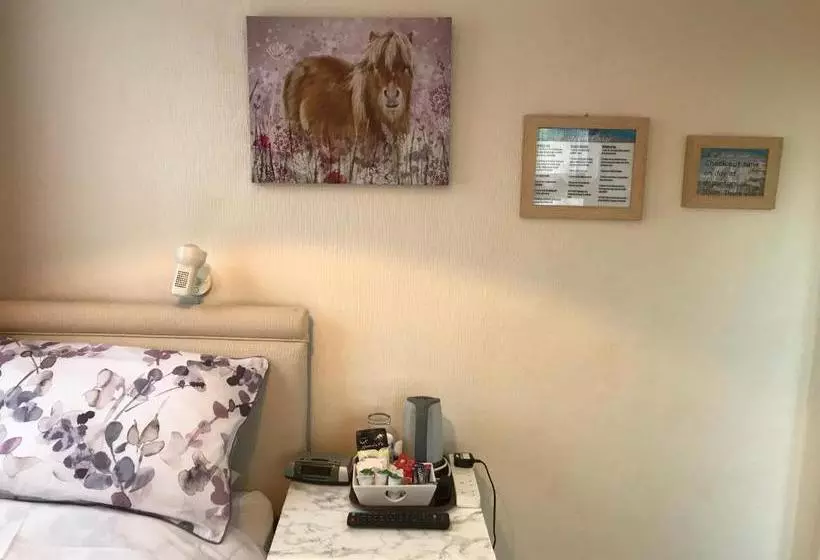 Bed and Breakfast The Acorn Lodge