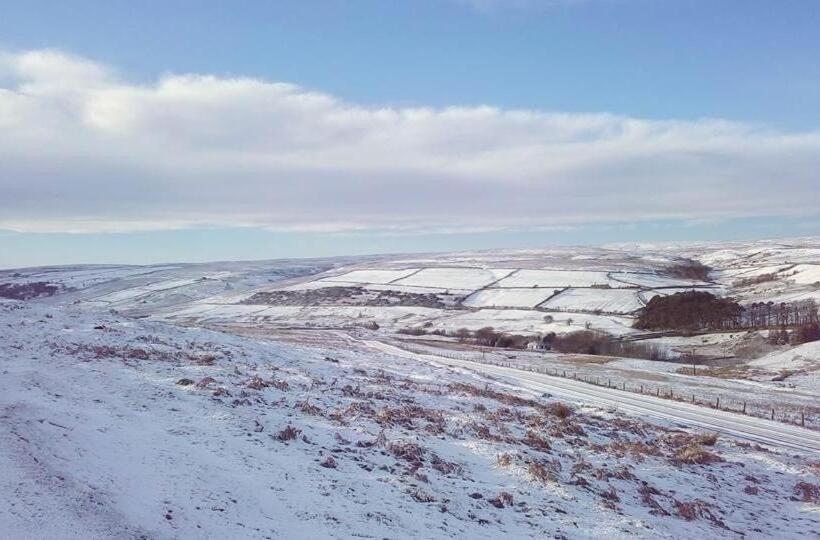 Bed and Breakfast The Burnside