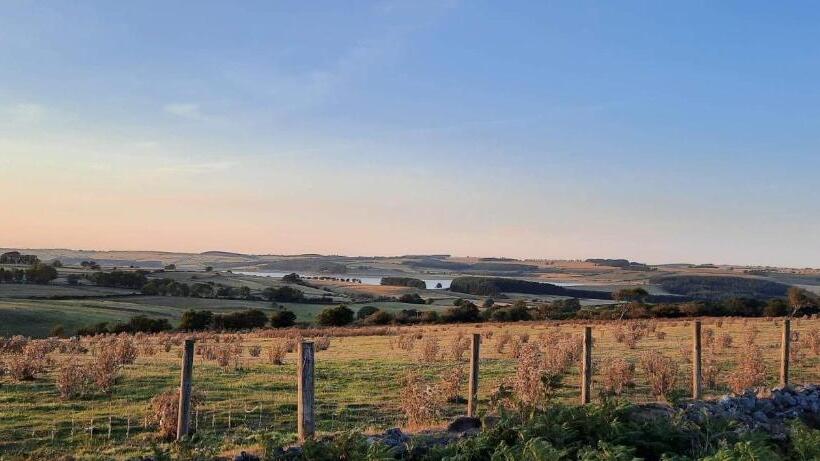 Bed and Breakfast The Burnside