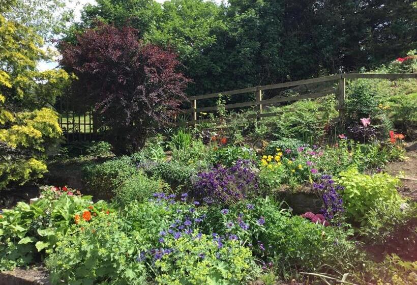 Bed and Breakfast The Burnside