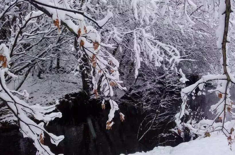 Bed and Breakfast The Burnside