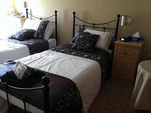 ホテル Collins Arms