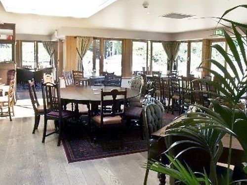 Отель Elveden Inn