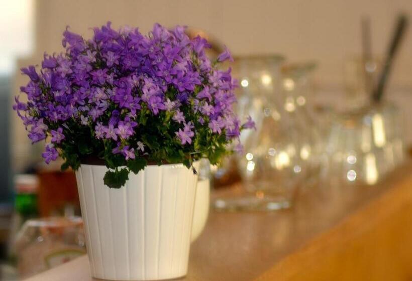 Отель The Courie Inn