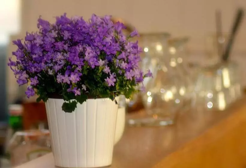 酒店 The Courie Inn