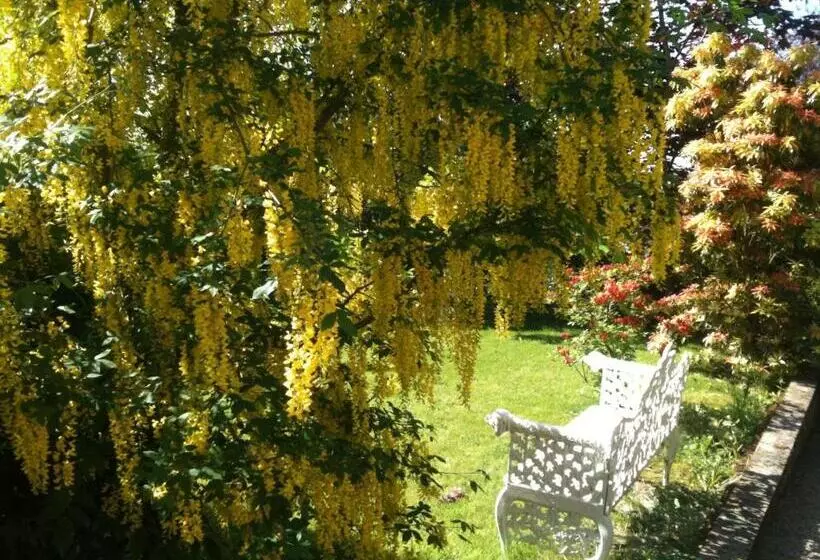 פנסיון Charlemont House