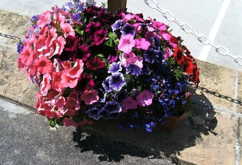 Pansiyon Merriedale Guest House