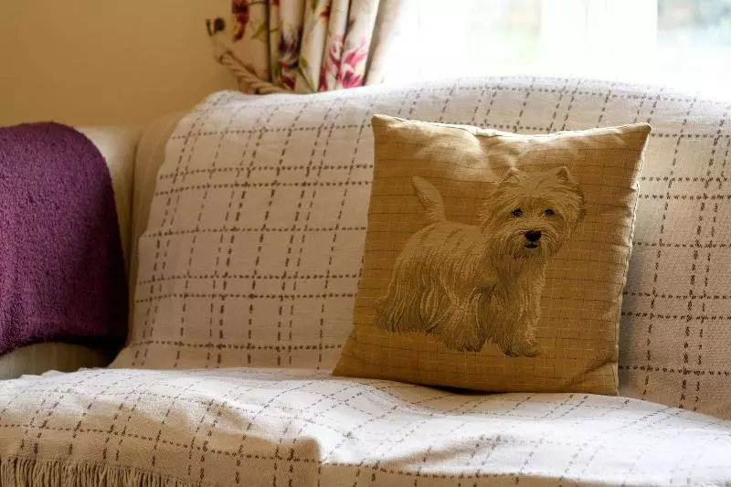 Pensiune South Stack Coastal Retreats