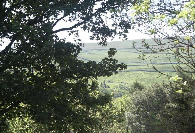 Пансион Westgate Manor