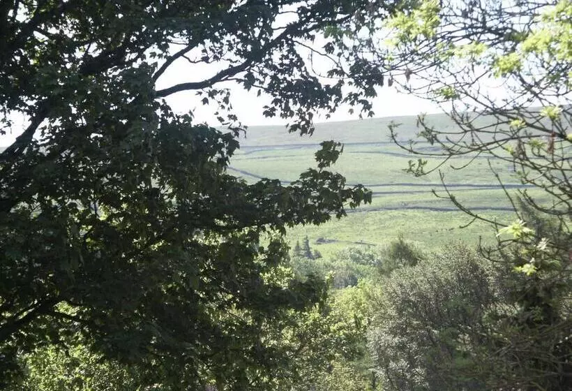 Пансион Westgate Manor