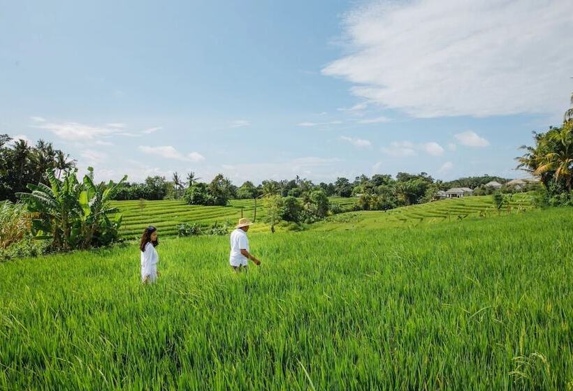 Resort Otel Nyanyi Sanctuary Villa By Ini Vie Hospitality