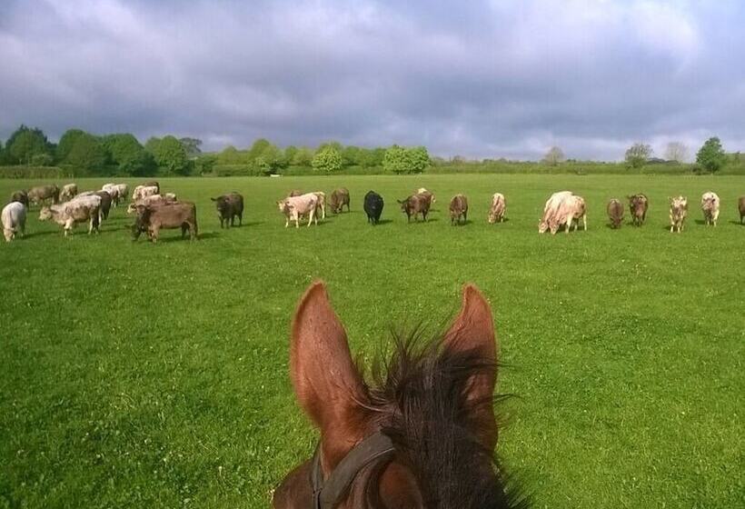 Battens Farm Cottages B&b