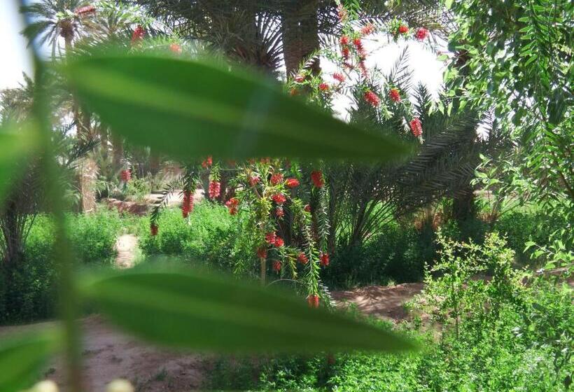 تختخواب و صبحانه Dar Paru