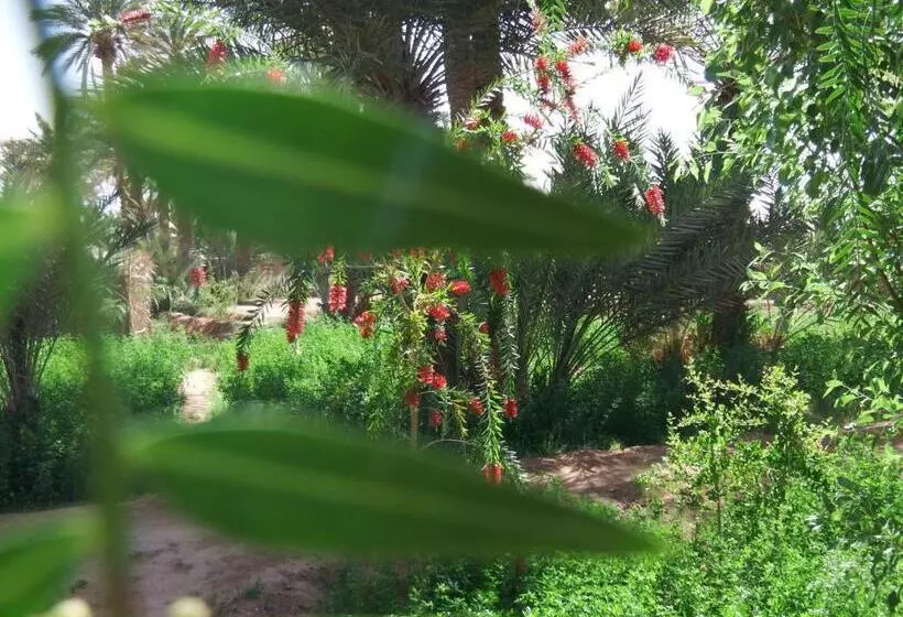 Aamiaismajoitus (B&B) Dar Paru