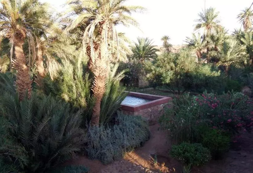 Aamiaismajoitus (B&B) Dar Paru