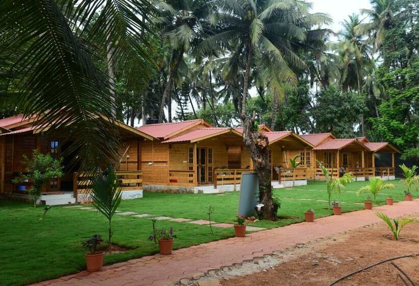 פנסיון Rockit Cafe & Stay