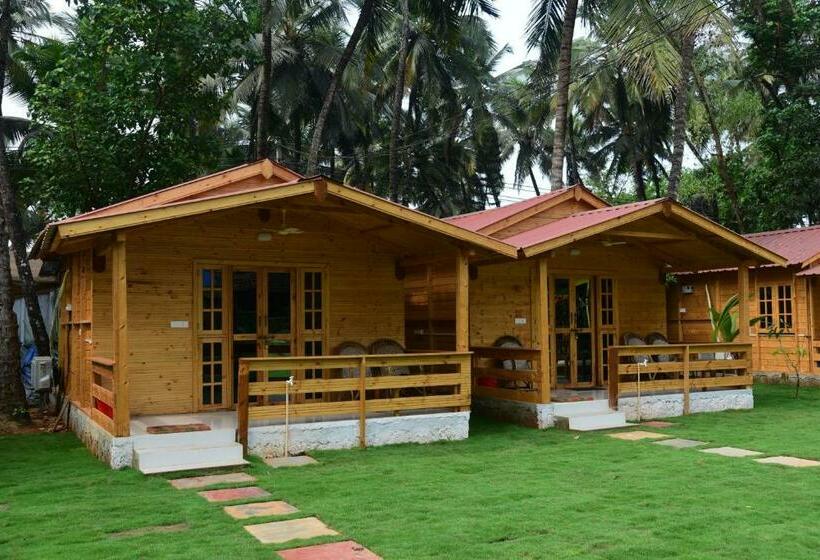 פנסיון Rockit Cafe & Stay