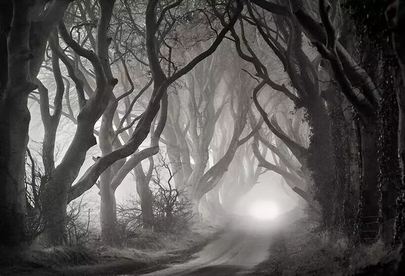 Bed and Breakfast Carnately Lodge