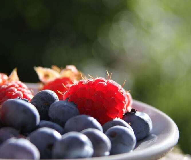 ベッドアンドブレックファースト Carnately Lodge