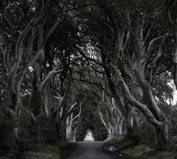 ベッドアンドブレックファースト Carnately Lodge