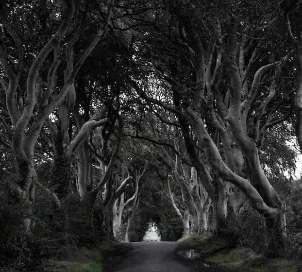 Bed and Breakfast Carnately Lodge