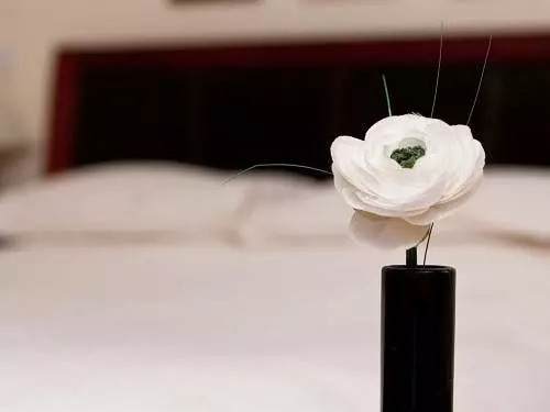 Bed and Breakfast Dukes Head