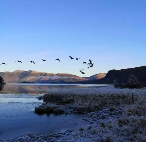 住宿加早餐  Rooms36