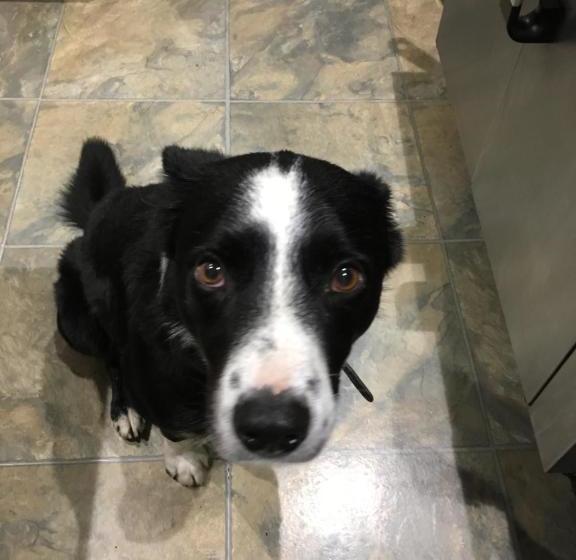 ベッドアンドブレックファースト Rooms36