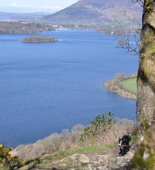 ベッドアンドブレックファースト Rooms36