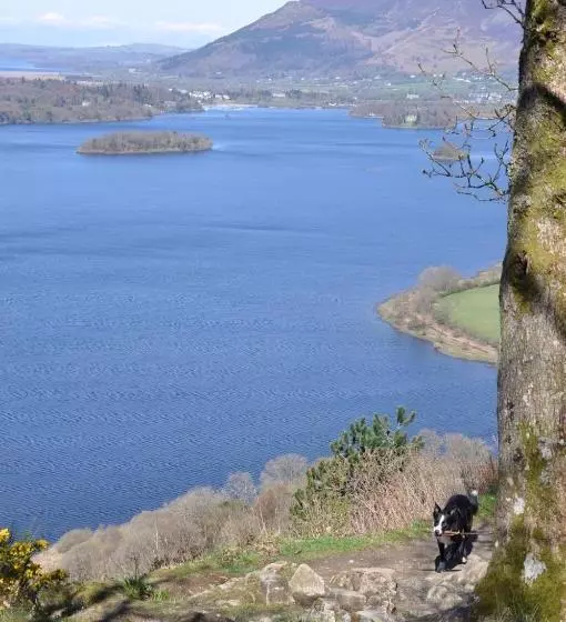 住宿加早餐  Rooms36