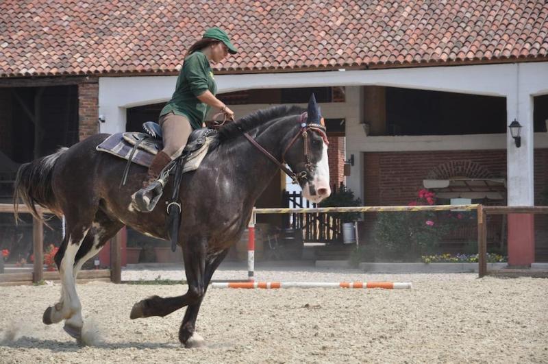 בית מלון כפרי Agriturismo Cascina Corte Grande