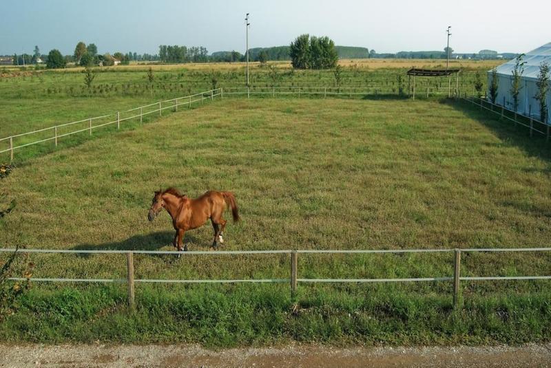 בית מלון כפרי Agriturismo Cascina Corte Grande