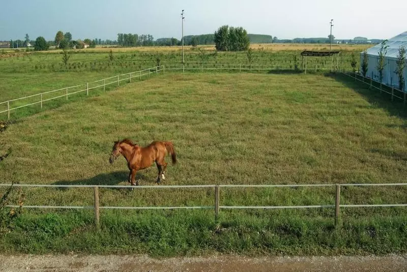 فندق ريفى Agriturismo Cascina Corte Grande