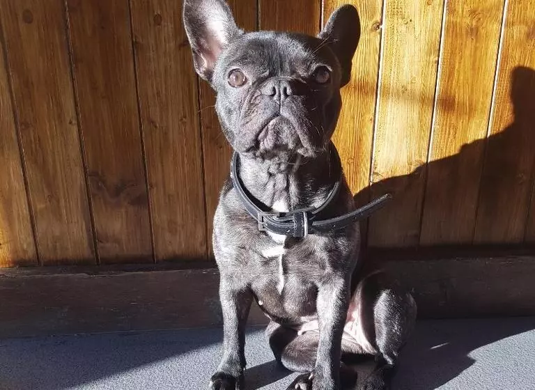 Отель South Causey Inn