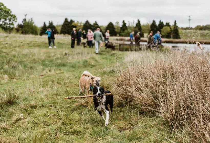 Отель South Causey Inn