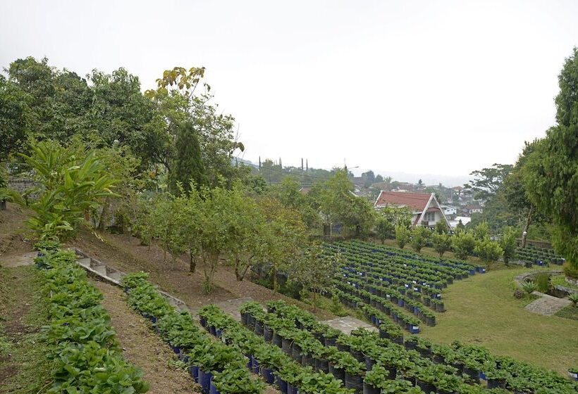 Surya Hotel & Cottages Prigen