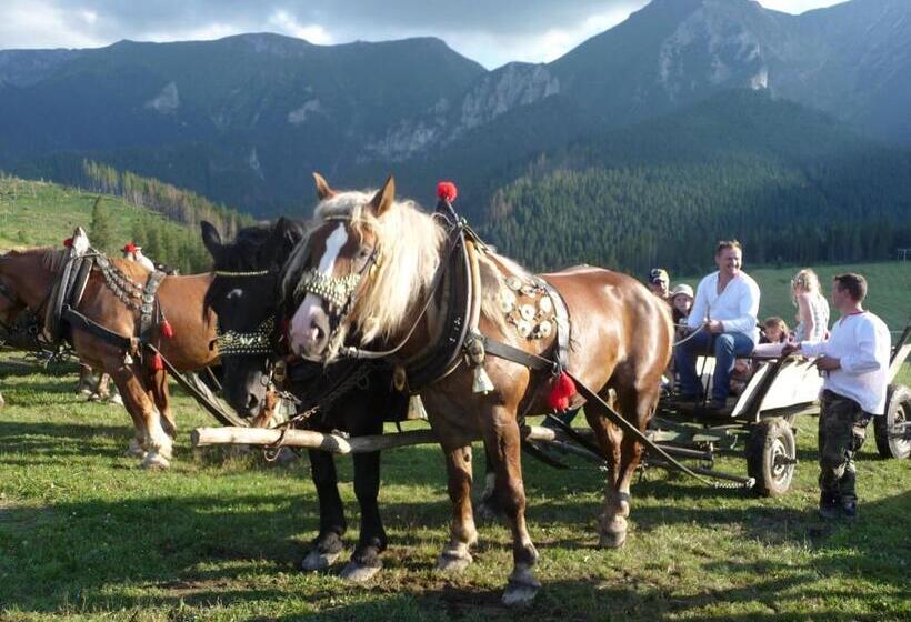 ペンション Penzion Zdiaran   Milan Tomaskovic