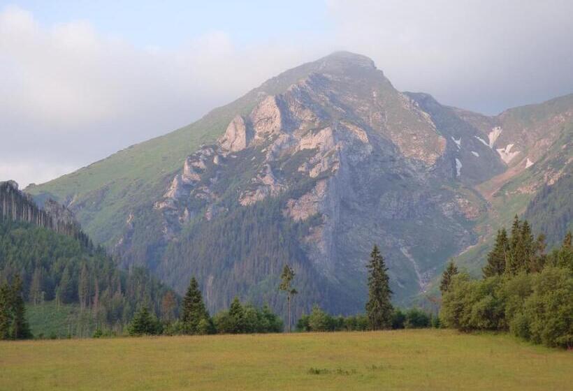 ペンション Penzion Zdiaran   Milan Tomaskovic