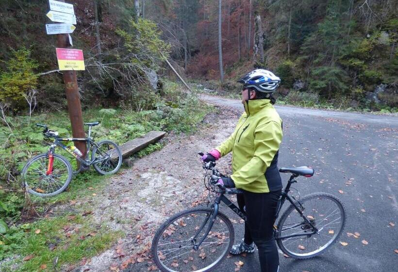 ペンション Penzion Zdiaran   Milan Tomaskovic