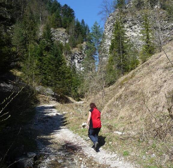 ペンション Penzion Zdiaran   Milan Tomaskovic