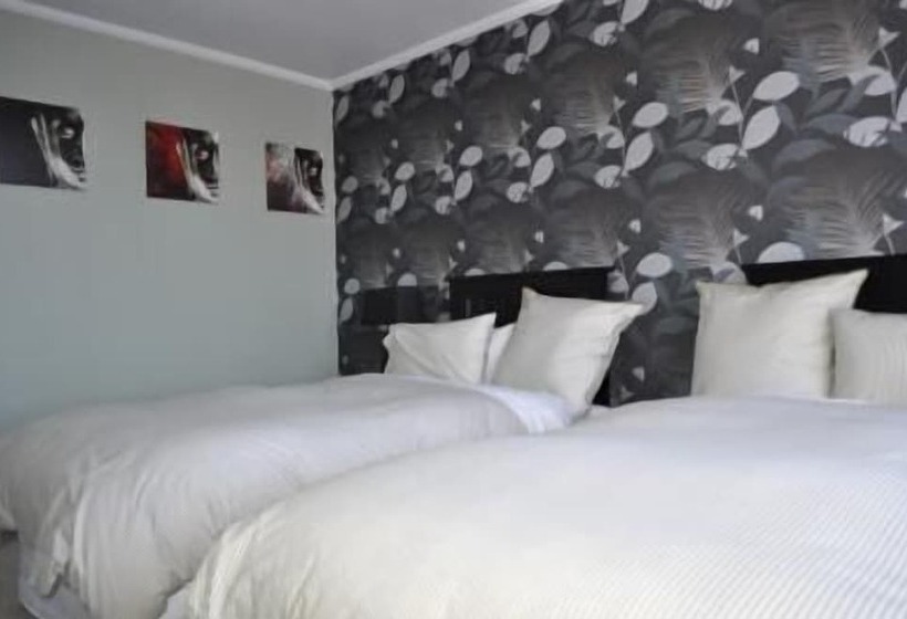 مبيت وإفطار 16 Havelock