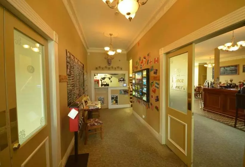 旅馆 The Prince Albert Backpackers & Bar