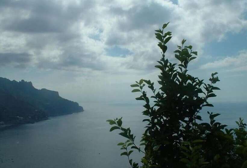 ベッドアンドブレックファースト Giardino Dei Limoni