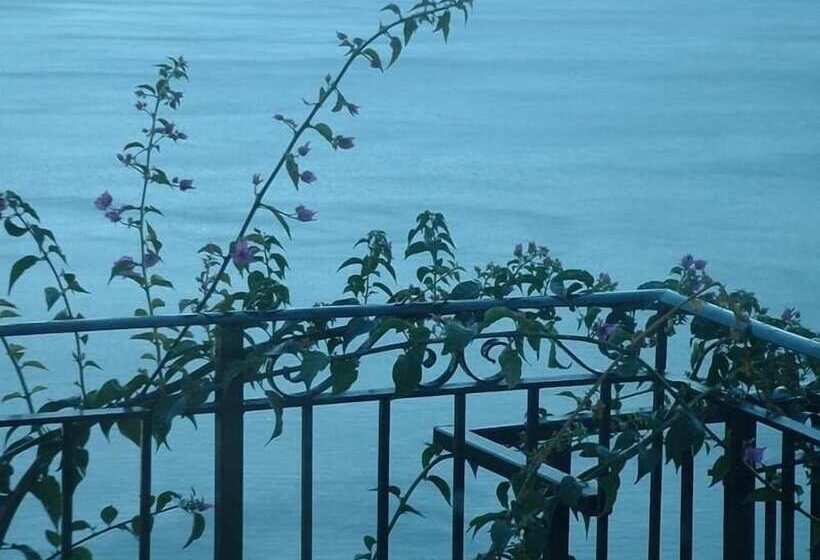 ベッドアンドブレックファースト Giardino Dei Limoni